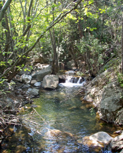 Creek in North Chios